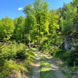 Die Hälfte des Weges liegt nun bereits hinter uns, was angesichts..