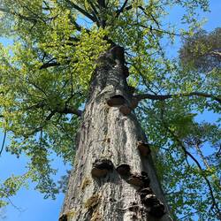 ..der steigenden Hitze durchaus zu begrüßen ist.