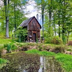Lädt dieser kleine Teich noch nicht so recht zur Abkühlung ein, sieht..