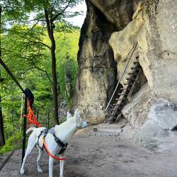 Johnny weiß, dass das nichts für ihn ist, und so begibt er sich in Warteposition.