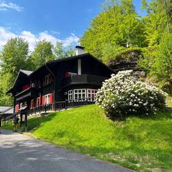 Apropos Genuss - während Johnny sich beim Waldwirtshaus ein sonniges Liegeplätzchen sucht,..