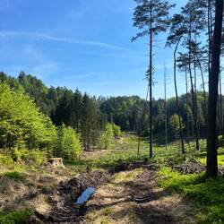 ..als auch auf forstwirtschaftlich genutzten Fahrstreifen.