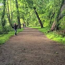 The bagpipes and the stamp