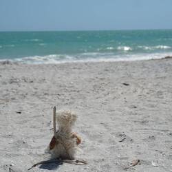 Frei nach Hemmingway: Der Horst und das Meer