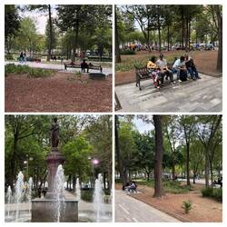Der Park ist weit und grün und hat viele Bänke - wo findet man sowas in Berlin?