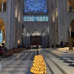 Notre Dame nach der Wiedereröffnung, Rosettenfenster Richtung Norden aus dem 13. Jhrhdt.