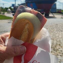 Für ein Matjes Brötchen gibt's kein Limit 😀