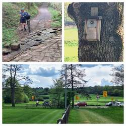 Unten: Umleitung für Radler 😉
