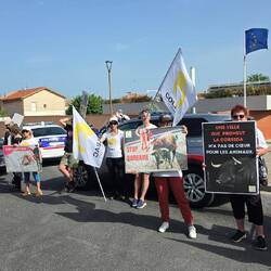 Die Corrida Gegner