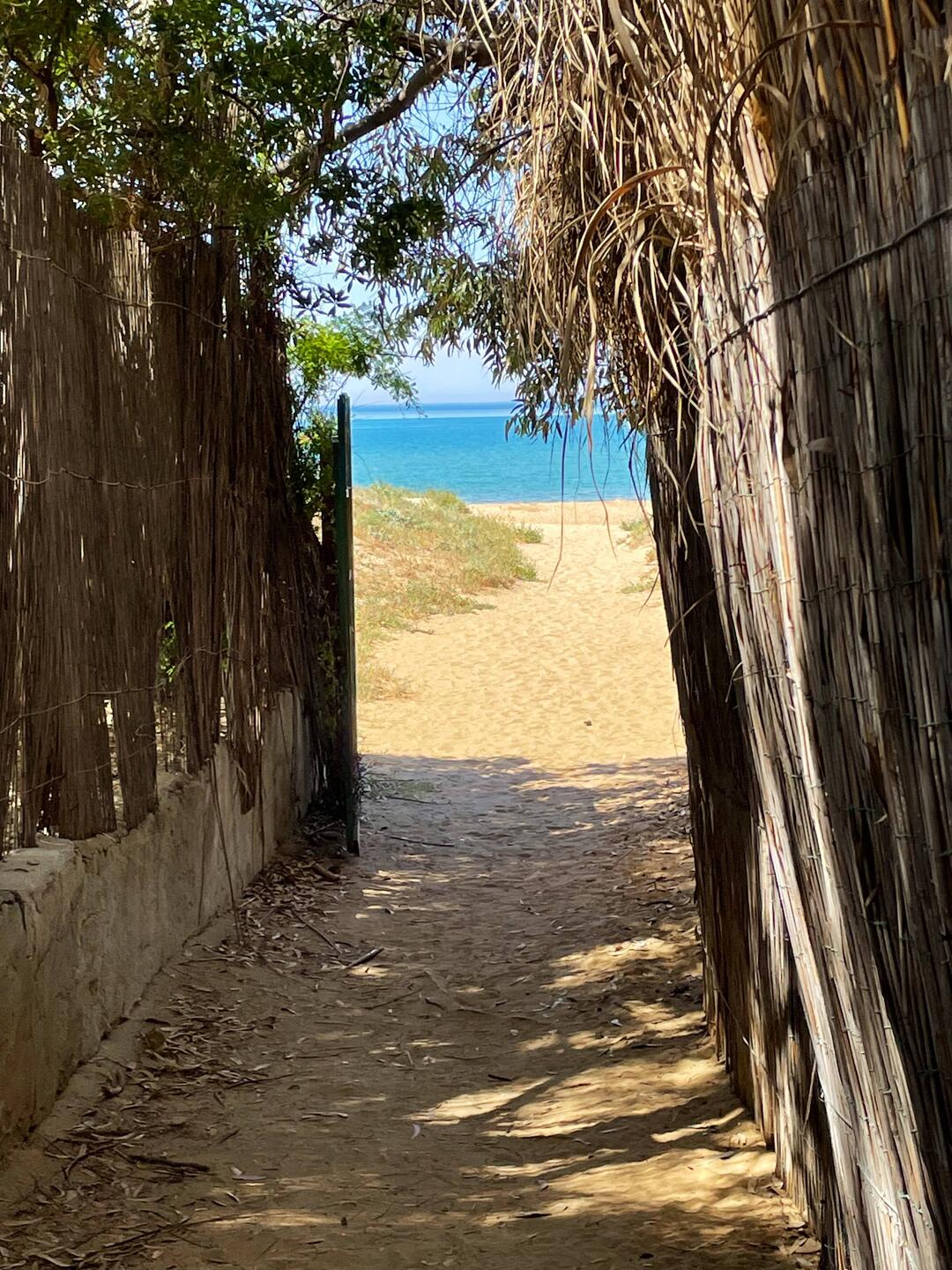 durch diese hohle Gasse geht's zum Strand