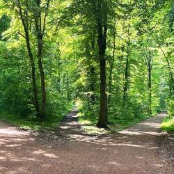 Welcher Weg ist der Richtige?