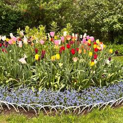 🌷🌷🌷🌷🌷🌷