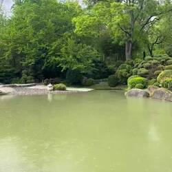 Japanischer Garten bei Sonne und Regen