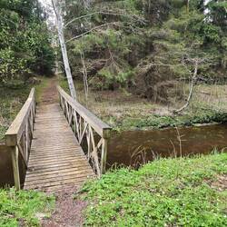 Wanderwege zum Lieblingswald von Siret..