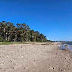 Wald und Strand