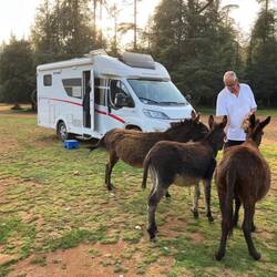 Unser Besuch bekommt auch was zu essen