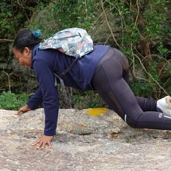 Eine Bergziege aus Haiti