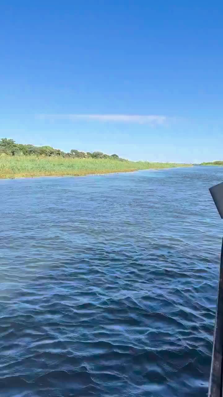 Bye Bye Hakusembe