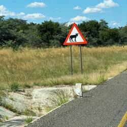 Nicht nur Elefanten und Kühe