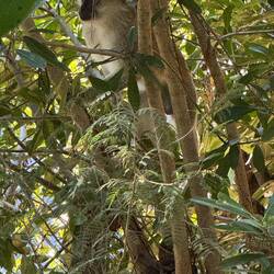 Mit Besuch am Balkon