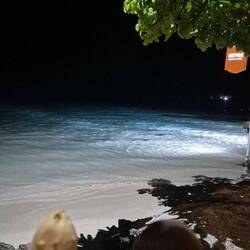 Ein Eis und dabei die Stachelrochen und Schwarzspitzen-Riffhaie beobachten