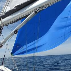 "Big Blue" zieht uns kräftig Richtung Ziel