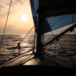 🎶Der Sonne entgegen🎵