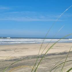 ... am Strand campieren ...