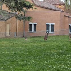 ... Und direkt im Ort.