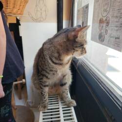 Longing for the outdoors!