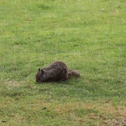 Kurz bevor Fifi 🐶 vorbei kam. Danach war Ruhe.😁