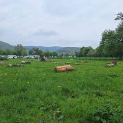 Hundespielplatz des CP