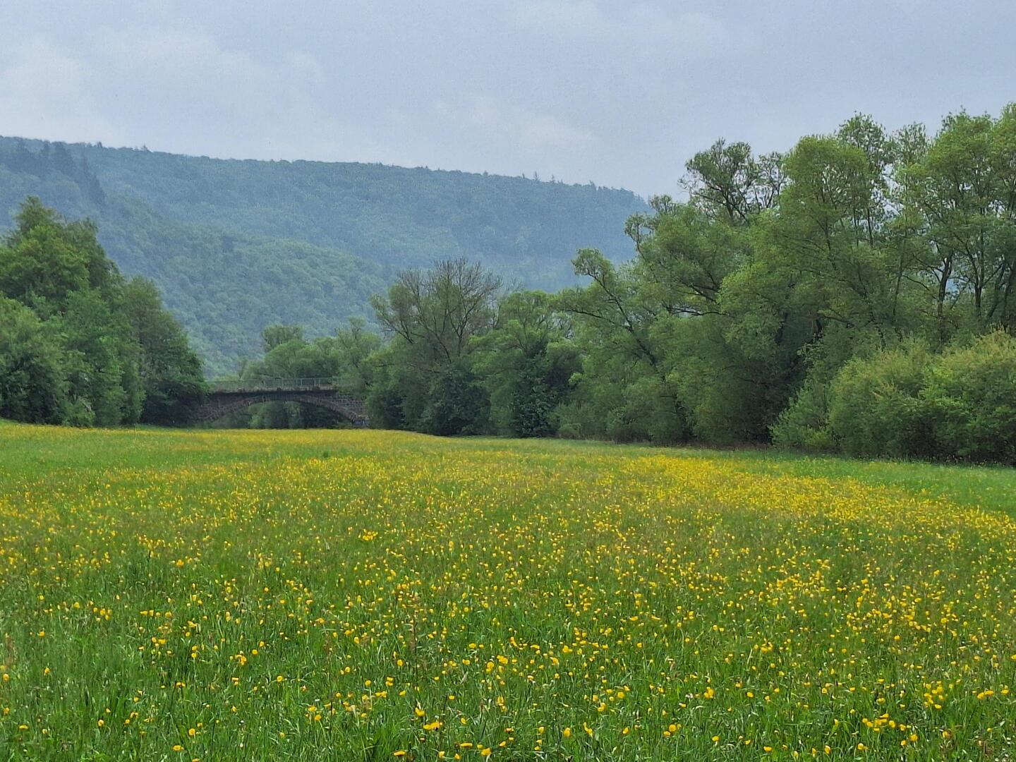 Blick auf die Brücke bei Kirchlotheim