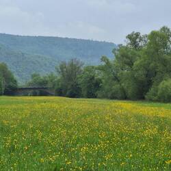 Blick auf die Brücke bei Kirchlotheim