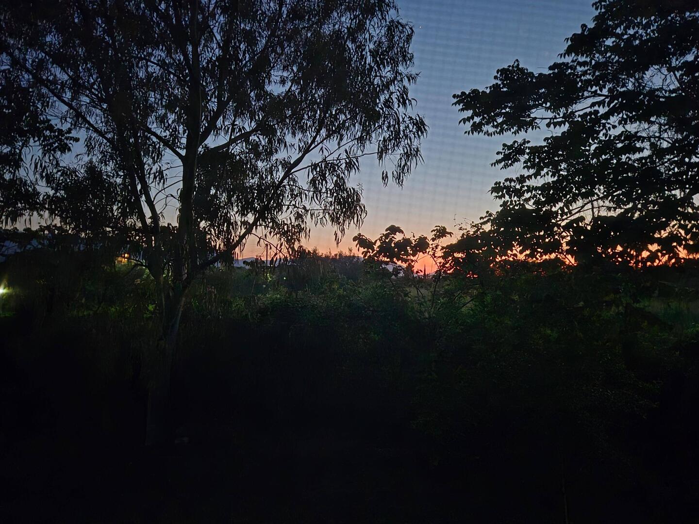 Gestern Abend: das erste mal im Dachzelt die Aussicht genossen 🥰🌅