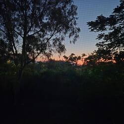 Gestern Abend: das erste mal im Dachzelt die Aussicht genossen 🥰🌅