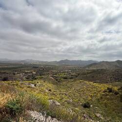 auf 350 Meter Höhe.