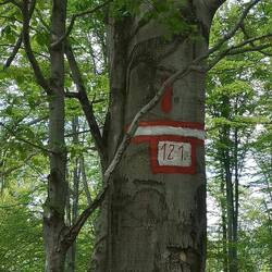 Auf unserer Wanderung: Markierung ohne Wege