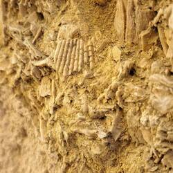 La pietra non è proprio pietra