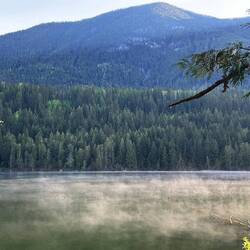 Morgendlicher Nebel
