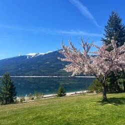 Auch hier ist Frühling