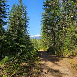 Ufem Trail