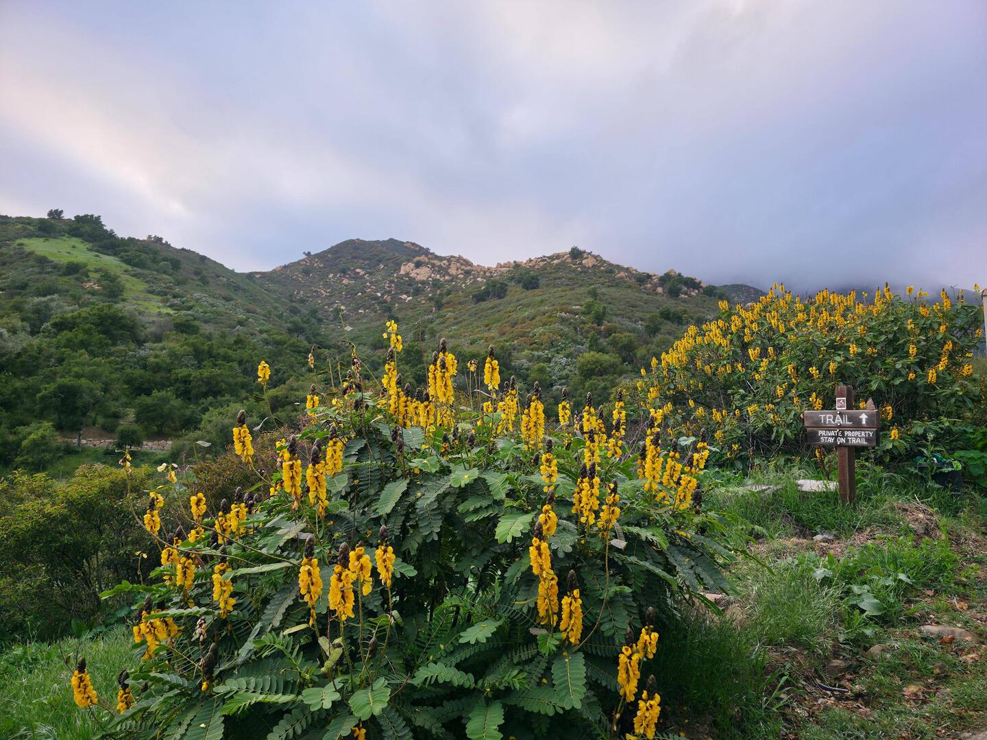 San Ysidro Trail, April 23, 5:30-7:00pm