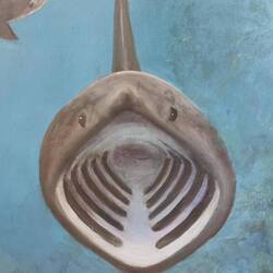 Lo squalo elefante, Basking shark