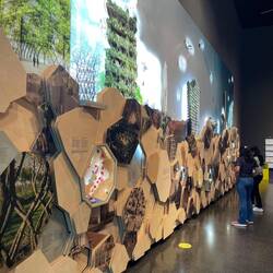 Wohnen vereint mit der Natur