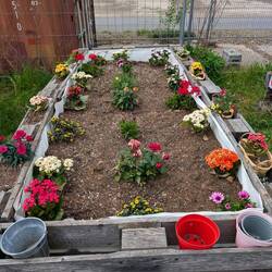 Beete zum anmieten und selbstbepflanzung