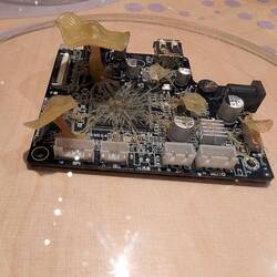 Pilze in Platinen - die Zukunft ?!