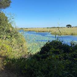 Kwando River
