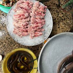 Souris dépiautées et anguilles