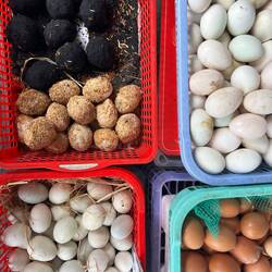 Œufs de cent ans, œufs au charbon, œufs couvés